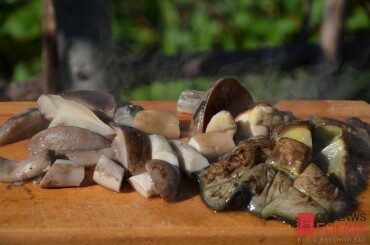 Подваренные грибы нарезать крупно