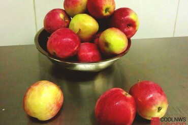 Яблоки мыть и чистить не нужно, поскольку на них присутствуют чистые дрожжевые культуры, в пруиновом налете.