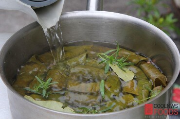 Далее как варить долму? Заливаем ее небольшим количеством воды, чтобы вода покрывала долму на толщину пальца.