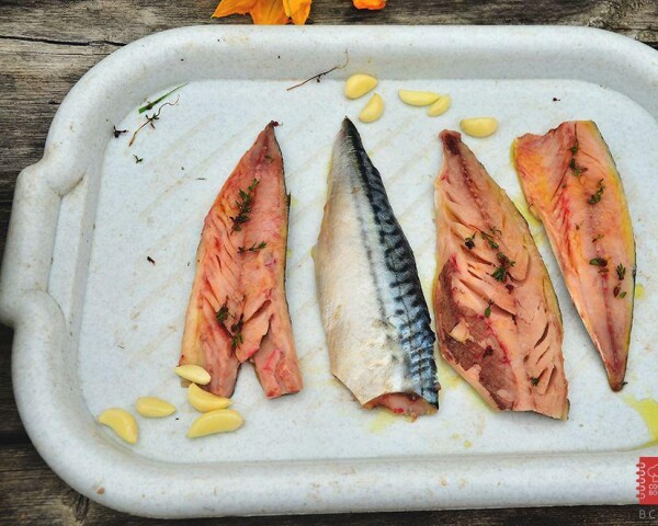 разделаные скумбрии