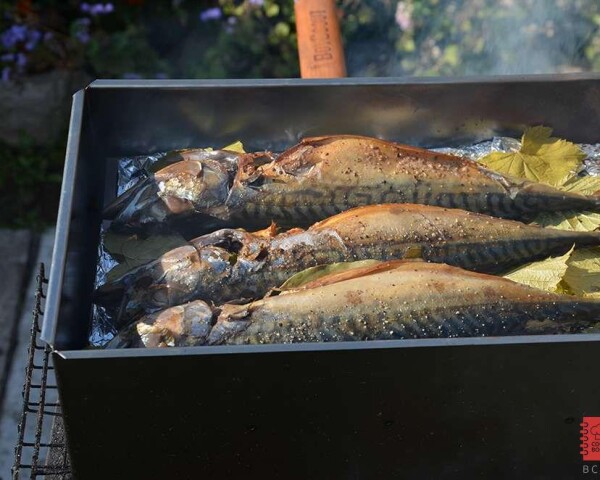 скумбрия горячего копчения