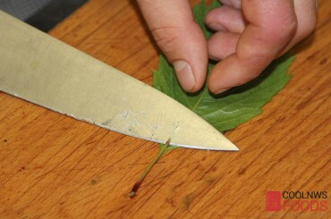 У листьев вырезаем ножку. И немного можно отбить жилку.