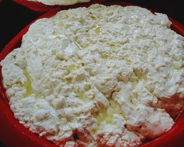 молодой сыр