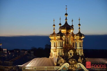 И вид на Екатерининский дворец с Певческой водонапорной башни.