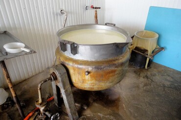 Нагреваем воду до 65 градусов (у телавских сыроваров вот такой чан для нагревания воды, работает от дровяного парогенератора. Ванна с молоком, так же нагревается паром).