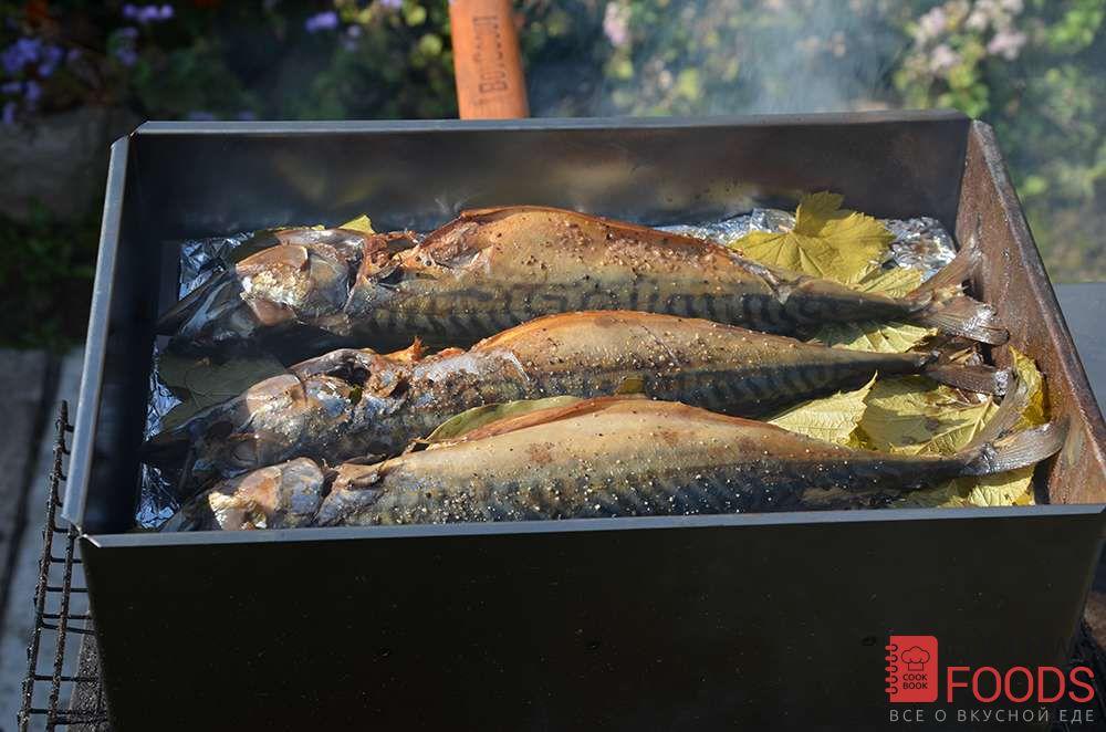 Маринад для копчения рыбы: оригинальные рецепты и полезные советы по приготовлению